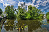 Poppelsdorfer Weiher, Bonn