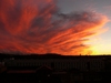 Sonnenuntergang hinter dem Hauptbahnhof Bonn Nove...