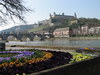 Würzburg Mainbrücke im Frühling