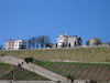 Schlosshotel Stein hoch über dem main und den Wei...