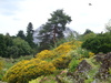 Berlin Botanischer Garten