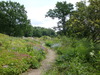 Berlin Botanischer Garten