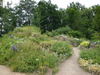 Berlin Botanischer Garten