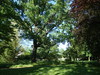 Berlin Köpenick Schloßpark