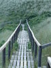 Sylt Puant Klent Treppe