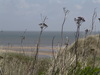 Sylt List Watt