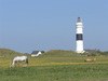 Sylt Kampen Leuchtturm