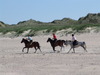 Sylt Pferde am Strand