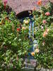 Sylt Westerland Haus mit Rosen