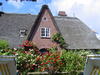 Sylt Westerland Haus mit Rosen