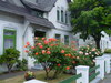 Sylt Westerland Haus mit Rosen