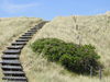 Sylt FKK Strand Dünental