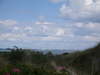 Sylt Braderupper Heide