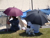 Sylt Hörnum Strand Regenschirme