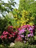 Sylt Alt Westerland Friedhof 