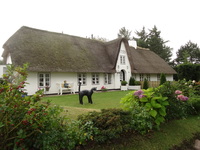 Sylt Keitum Haus mit Katze