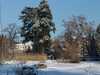 Bonn Botanischer Garten Poppelsdorfer Schloß