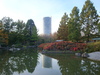 Bonn Rheinaue Japanischer Garten