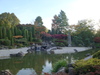 Bonn Rheinaue Japanischer Garten