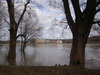 Bonn Bonner Bogen bei Hochwasser