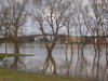 Bonn Bonner Bogen bei Hochwasser