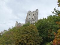 Drachenfels Burgruine