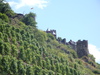 Mosel Burg Alken