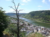 Mosel Abgang von Burg Alken