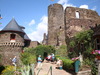 Mosel Burg Alken