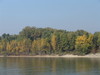 Donau