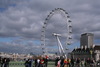 London´s Eye